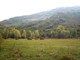 Altay country landscape 