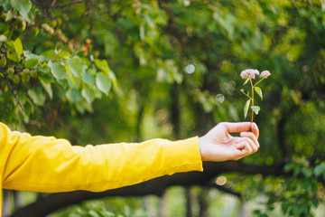 a man is holding a flower against the blurred background of trees and grass. bokeh, close-up, picnic, summer