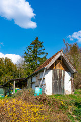 Fototapeta premium Gartenlaube