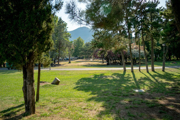 Public Park