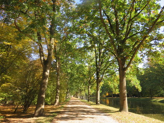 nature in kassel, germany