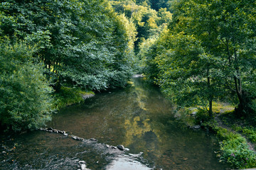 river in the forest