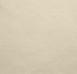 A sheet of ancient laid paper as background
