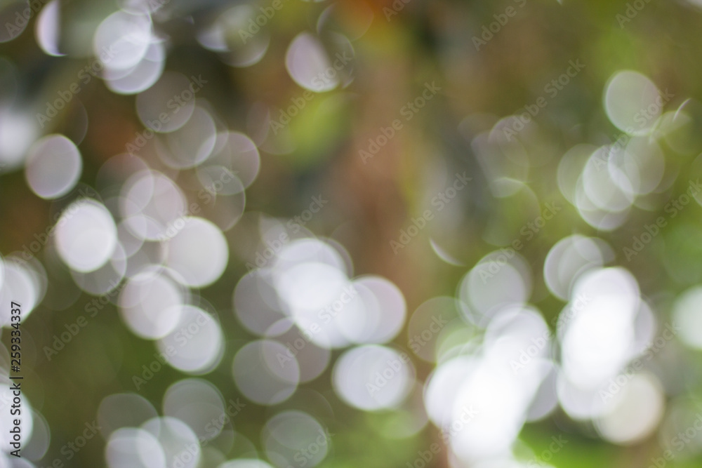 Wall mural blurred view of nature in bokeh style in the afternoon of day sky background