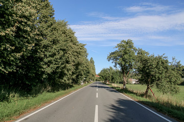 Road to a distant horizon