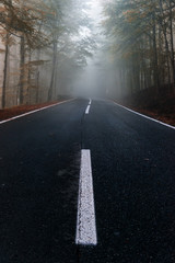 road in fog