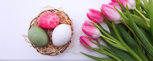 Tulips and easter Eggs in the nest isolated on white wood Background.