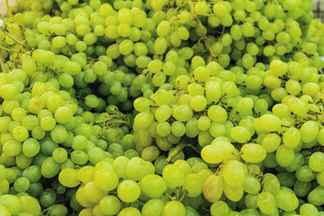 White wine grapes. Raw fruit background.