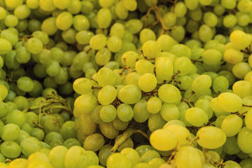 White wine grapes. Raw fruit background.