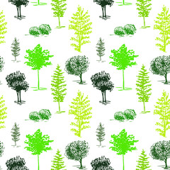 Trees sketch background. Seamless vector pattern. Hand painted green trees on a transparent background