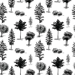 Trees sketch background. Seamless vector pattern. Hand painted black trees on a transparent background