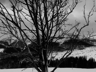Tatry © C_.AE_photography_