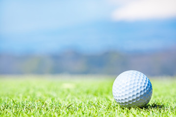 ゴルフ場のグリーンとボール