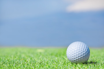 ゴルフ場のグリーンとボール