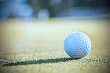 ゴルフ場のグリーンとボール