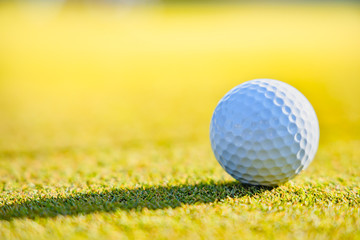 ゴルフ場のグリーンとボール