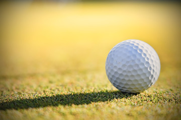 ゴルフ場のグリーンとボール