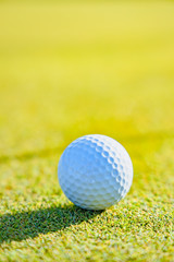 ゴルフ場のグリーンとボール