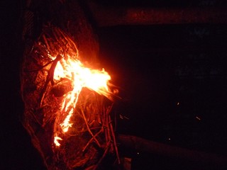 Feu nuit for&ecirc;t