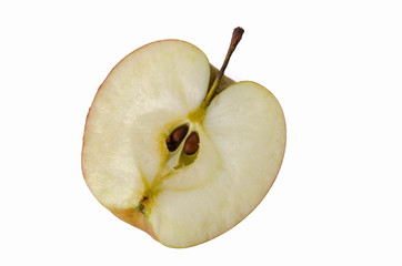 Red apple on white background