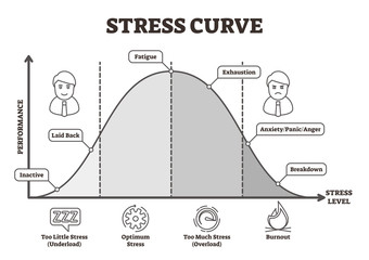 Stress curve vector illustration. Flat BW labeled performance level graphic