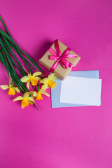 Pink background with Yellow daffodils flowers and gift card. Mothers day or Womens day