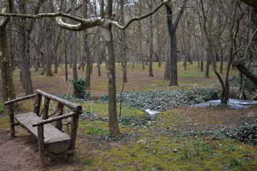 Banco de madera en el campo