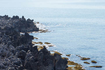 rocky seashore washed by sea