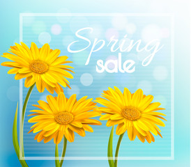 Yellow gerbera daisies on a blue bokeh background. Spring sale vector.