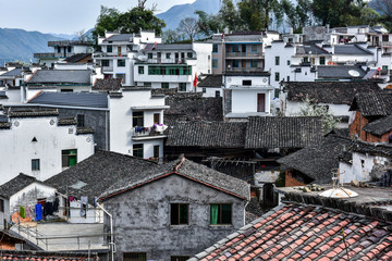 Fototapeta premium The beautiful mountain village with flowers in full bloom was photographed in Jiangling, Wuyuan County, Shangrao City, Jiangxi Province.
