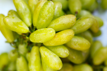 CLOSE UP OF GREEN GRAPE 