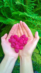 raspberry laid out in the shape of a heart