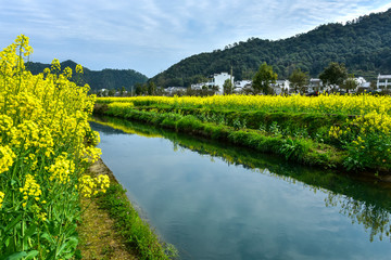 Rural Landscape River, Bridge