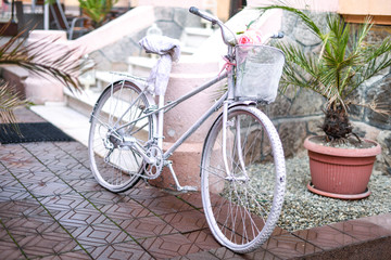 Fototapeta na wymiar Vintage bicycle all painted in white