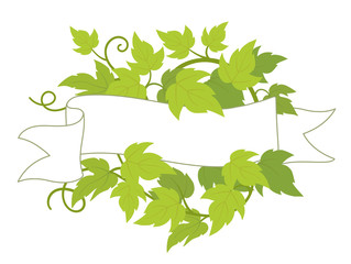 Hop plant frame flag label. Badge border frame decor. Copy space for text name or logo. Hop green leaves. Vector flat Illustration for pub bar or beer advertising.