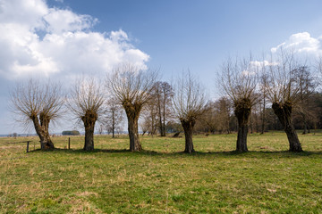 Krajobraz wiejski Podlasia, Wiosna na Podlasiu