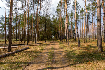 Krajobraz wiejski Podlasia, Wiosna na Podlasiu © podlaski49