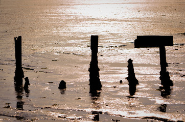 Pylons in the mud by the ocean