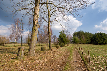 Krajobraz wiejski Podlasia, Wiosna na Podlasiu © podlaski49