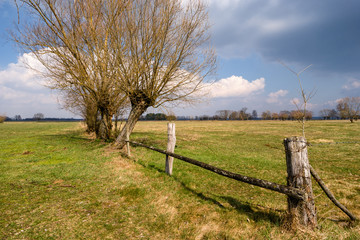 Krajobraz wiejski Podlasia, Wiosna na Podlasiu © podlaski49