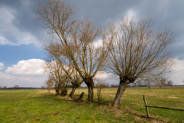Krajobraz wiejski Podlasia, Wiosna na Podlasiu © podlaski49