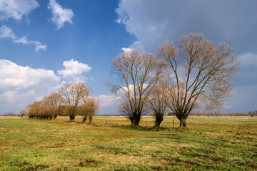 Krajobraz wiejski Podlasia, Wiosna na Podlasiu © podlaski49