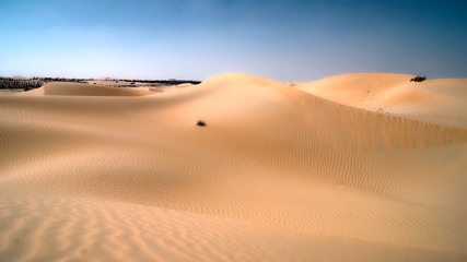 sands of desert 