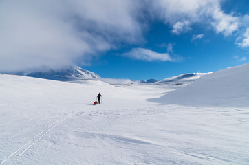 Fototapeta na wymiar Cross country skier with sled (pulka) in the snow of Sarek National Park. Lapland, Sweden.