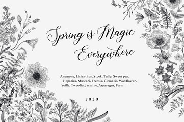 Spring magic. Horizontal card. Vector vintage illustration. Black and white