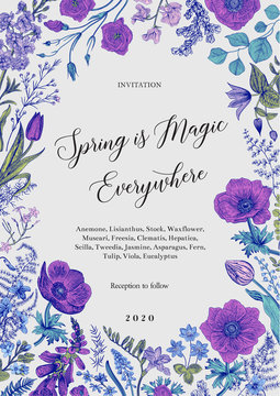 Spring magic. Invitation. Spring flowers with a blue contour. Vector vintage illustration.