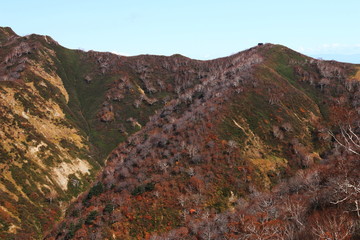 東北飯豊連峰　飯豊山山頂への道　秋　ダケカンバと三国小屋遠景