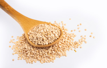 White Quinoa Seeds - Chenopodium quinoa