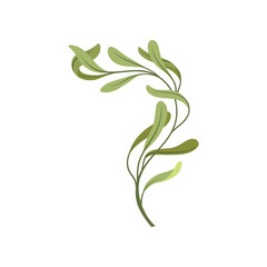 Cartoon young tree branch with green foliage.