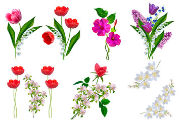 Bright colorful spring flowers isolated on white background.